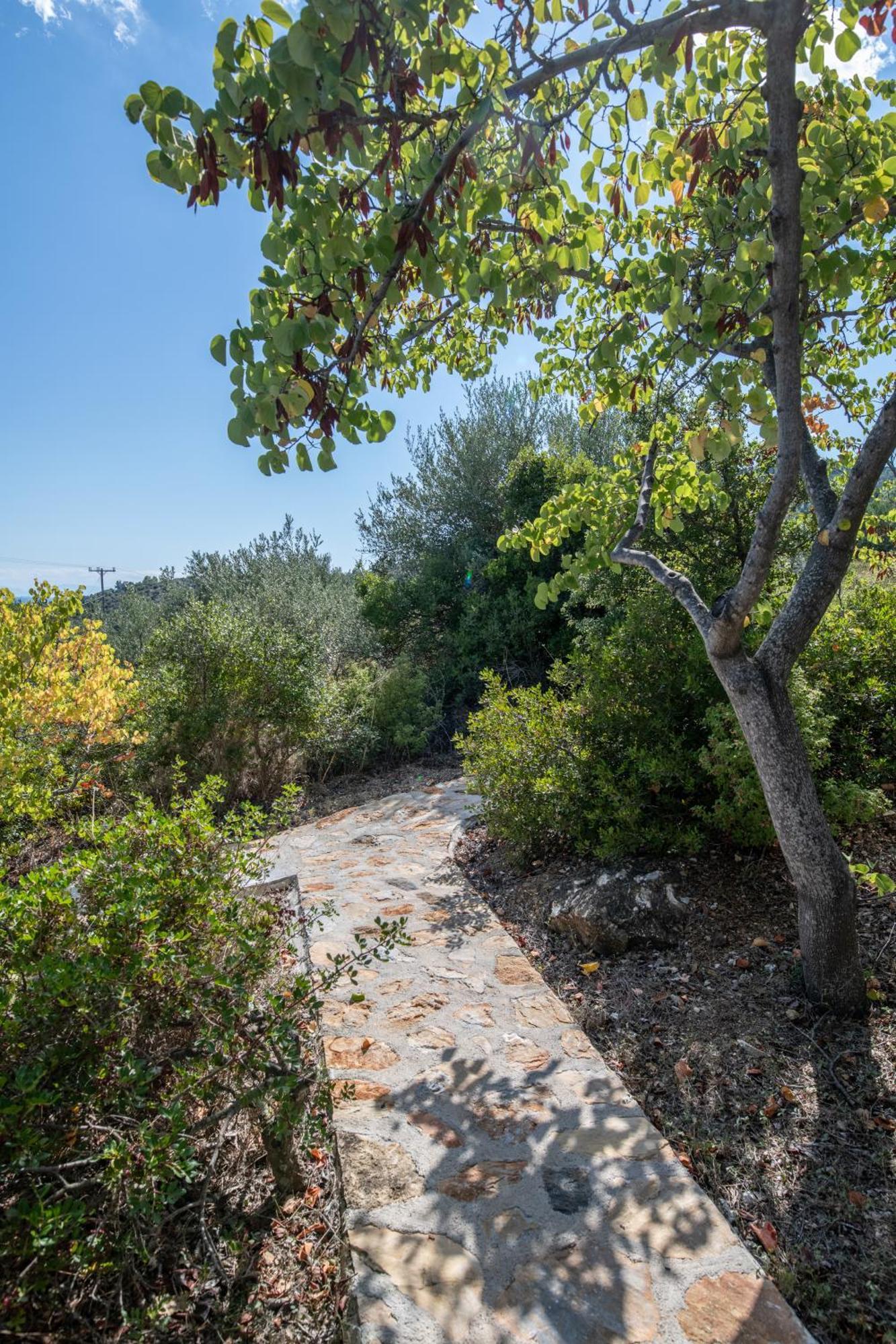 Elea Villas Steni Vala Alonissos エクステリア 写真